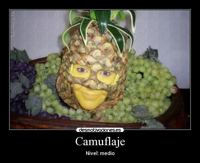 Camuflaje -