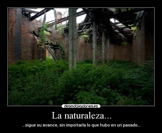 La naturaleza... -