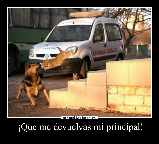 ¡Que me devuelvas mi principal! - 