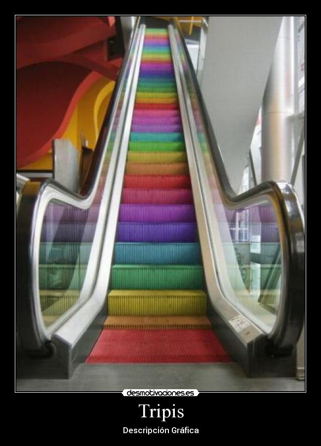 Tripis - Descripción Gráfica