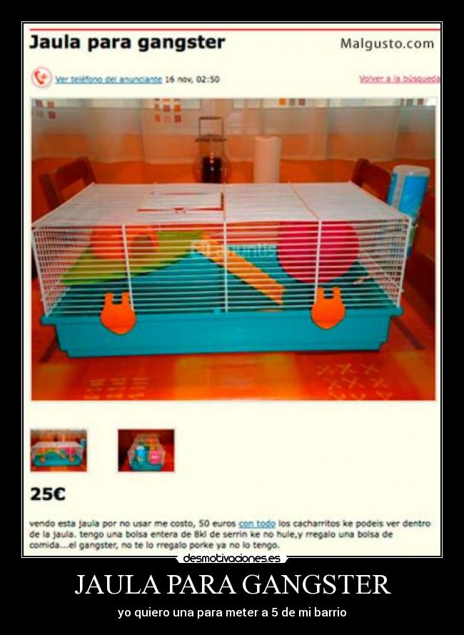 JAULA PARA GANGSTER -