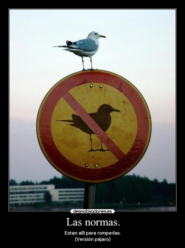 Las normas. - 