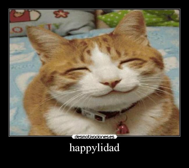 carteles yeah desmotivaciones