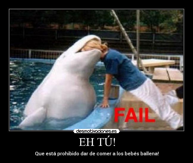 EH TÚ! - Que está prohibido dar de comer a los bebés ballena!