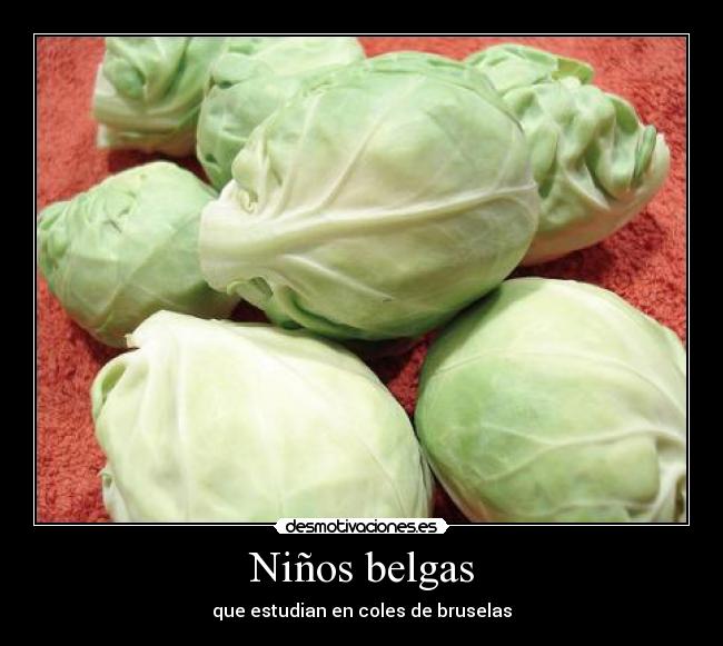 Niños belgas - que estudian en coles de bruselas
