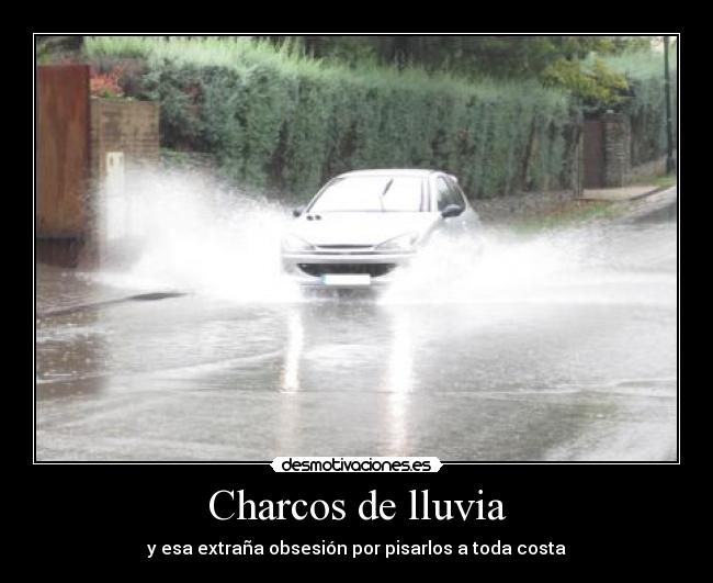 carteles charcos lluvia desmotivaciones