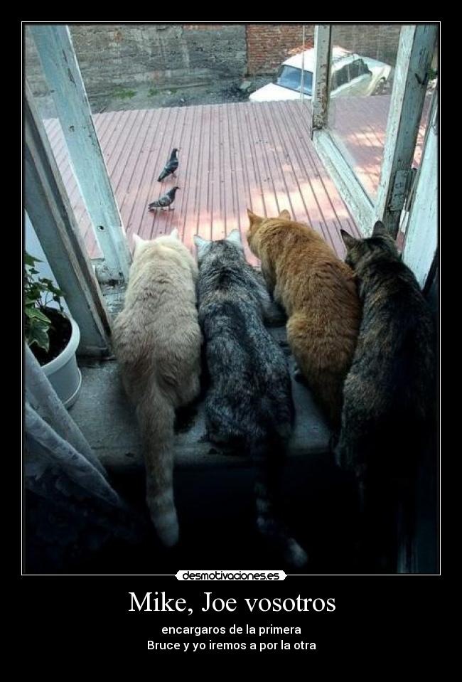 Mike, Joe vosotros -