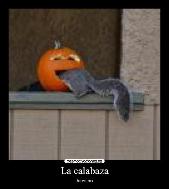 La calabaza - 