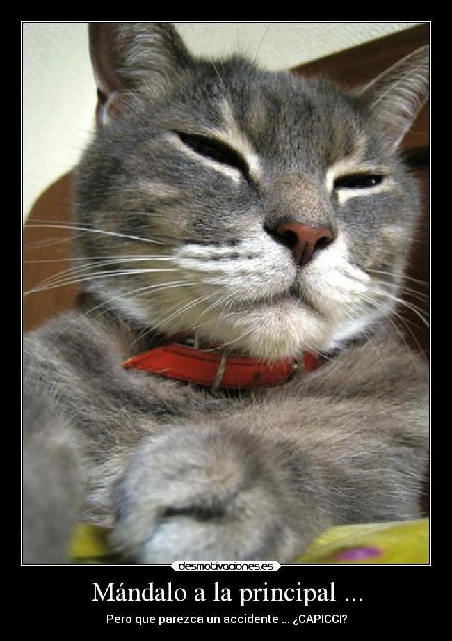 Mándalo a la principal ... -