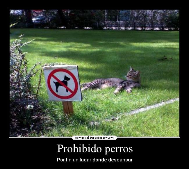 prohibido joder amigo fetiche prohibido joder amigo fetiche