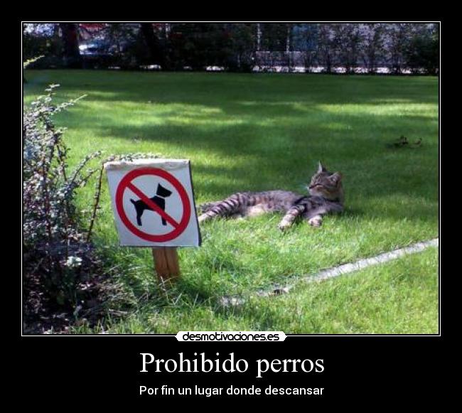 Prohibido perros - Por fin un lugar donde descansar