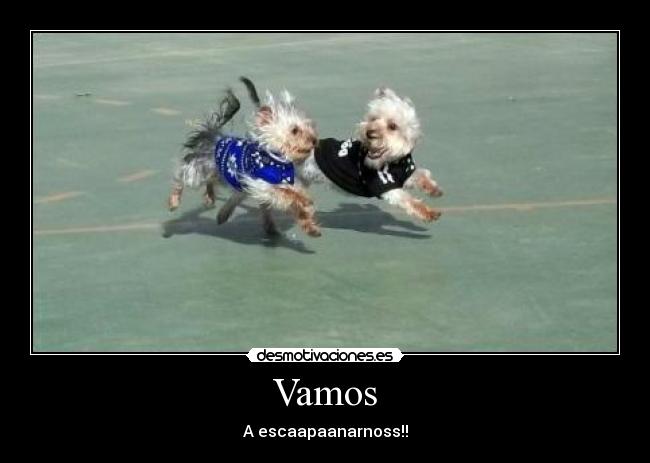Vamos -
