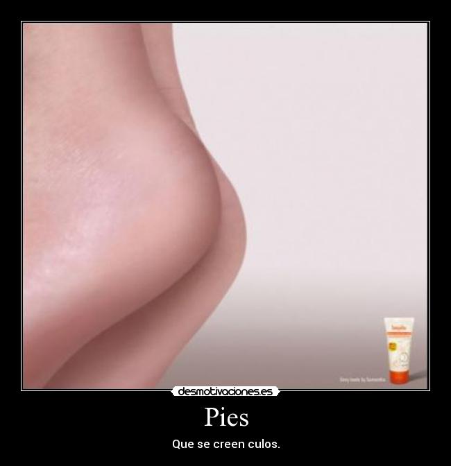 Pies -