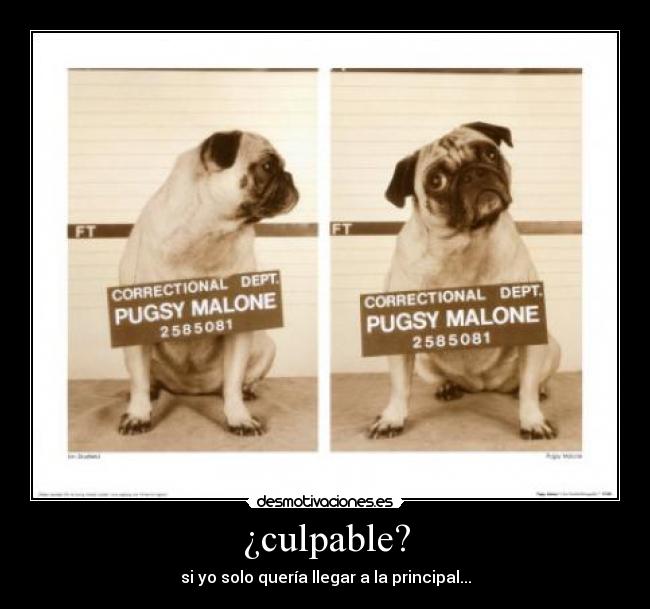¿culpable? - si yo solo quería llegar a la principal...