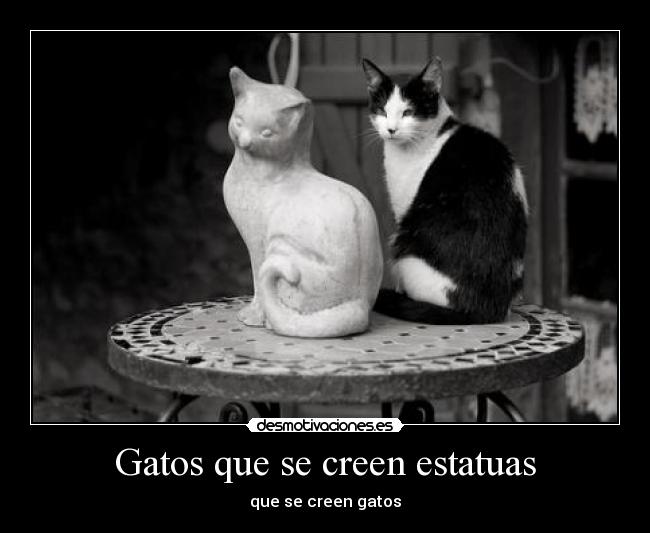 Gatos que se creen estatuas -