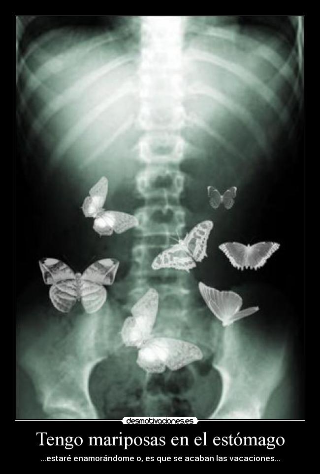 carteles vacaciones desmotivaciones