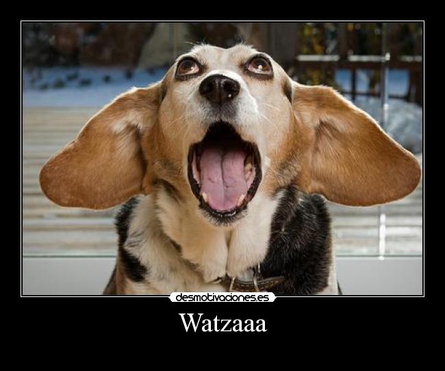 Watzaaa - 