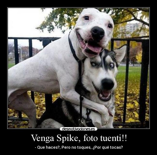 Venga Spike, foto tuenti!! -