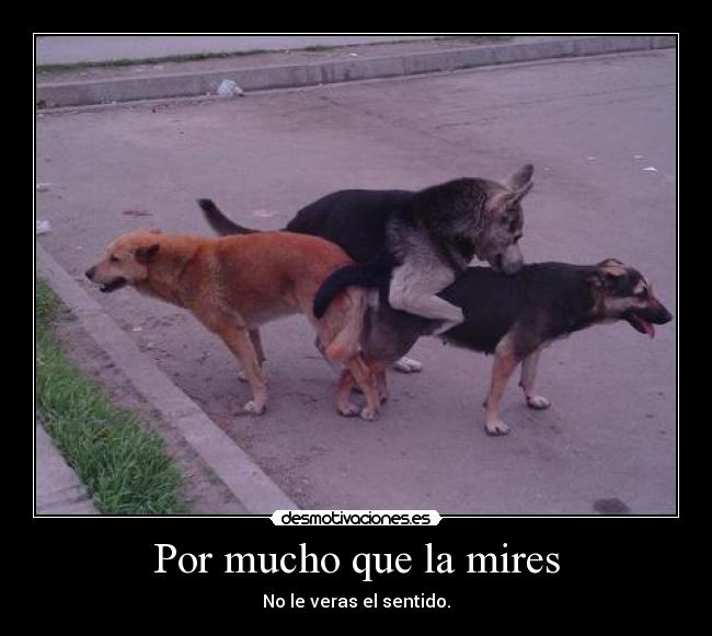 Por mucho que la mires - 