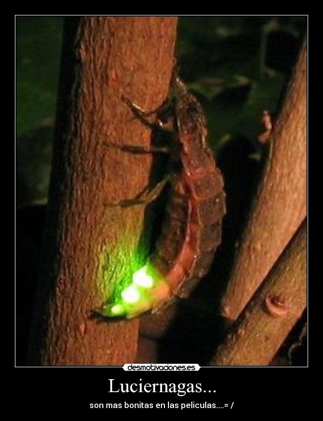 carteles vero_9 desmotivaciones