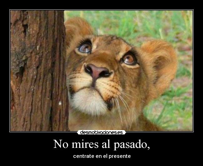 No mires al pasado, - 