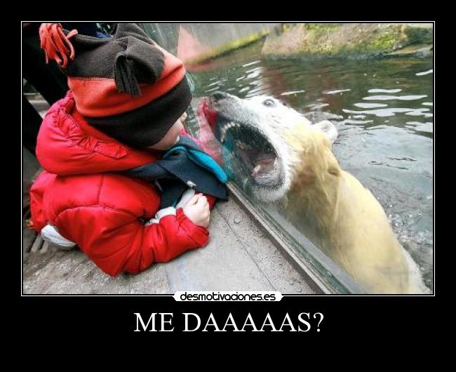 ME DAAAAAS? - 