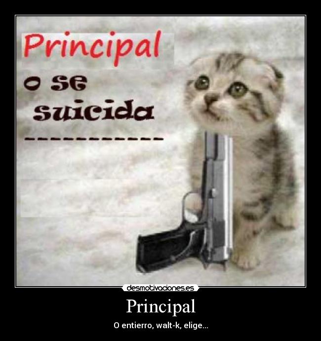 Principal - O entierro, walt-k, elige...