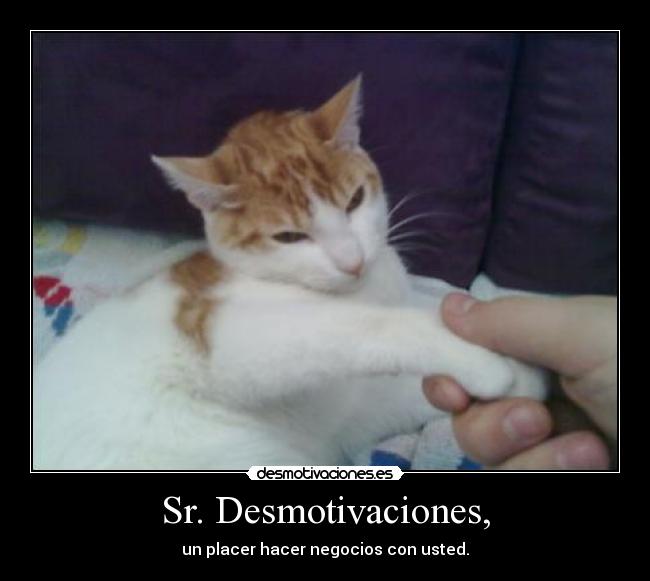 Sr. Desmotivaciones, - 
