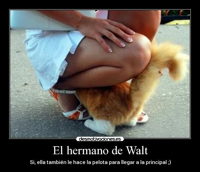 El hermano de Walt - Si, ella también le hace la pelota para llegar a la principal ;)