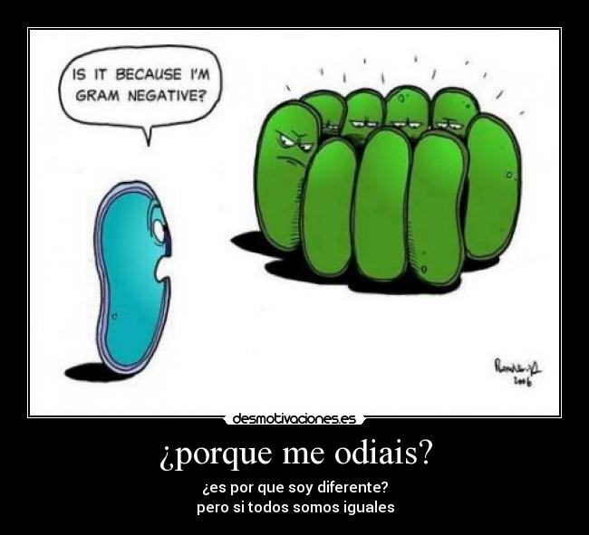 ¿porque me odiais? -