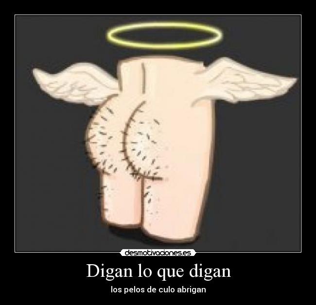 Digan lo que digan - los pelos de culo abrigan