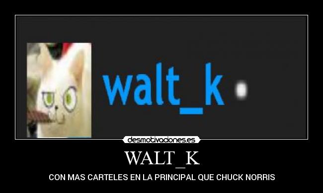 WALT_K - CON MAS CARTELES EN LA PRINCIPAL QUE CHUCK NORRIS