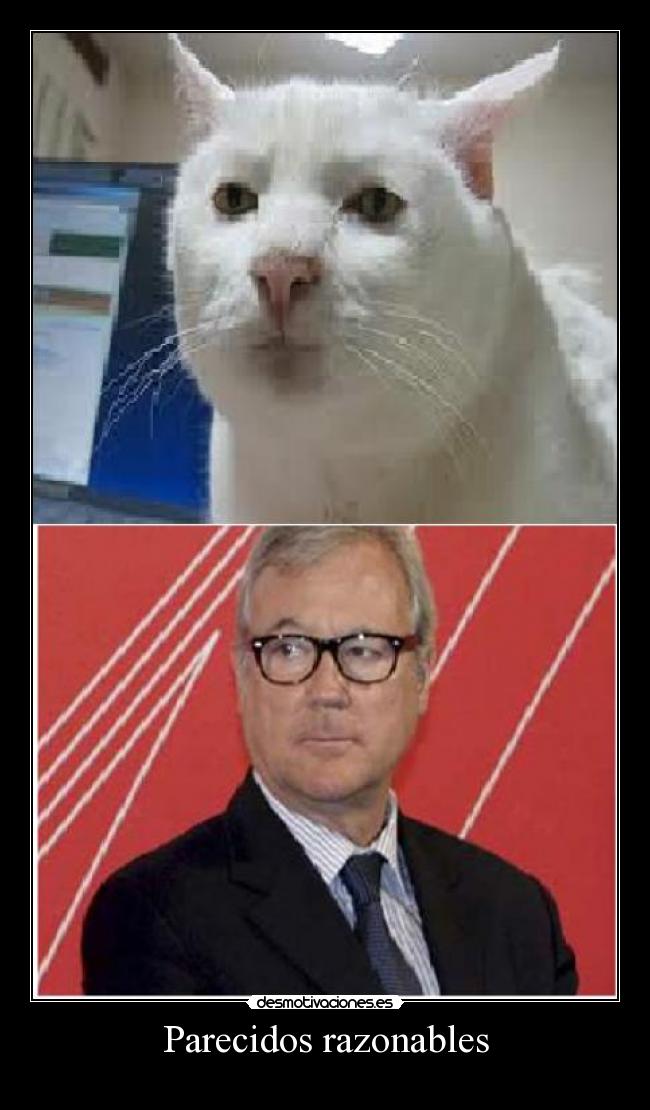 Parecidos razonables -