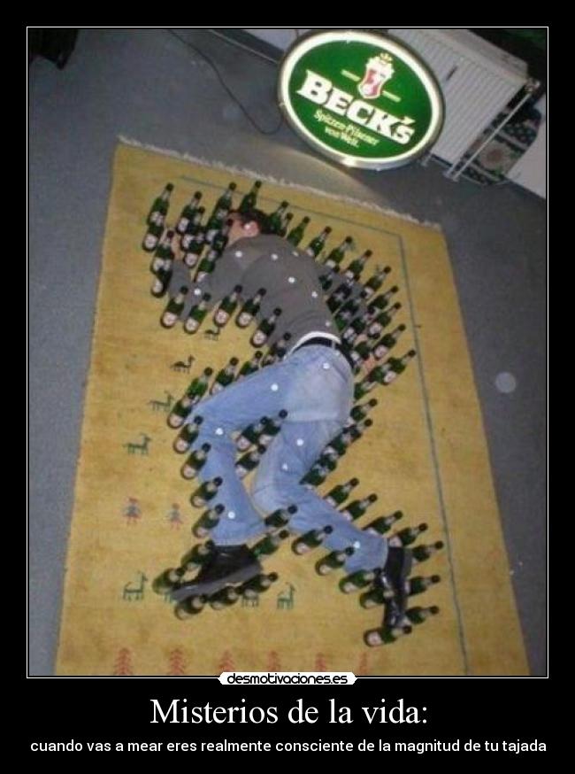 Misterios de la vida: - cuando vas a mear eres realmente consciente de la magnitud de tu tajada