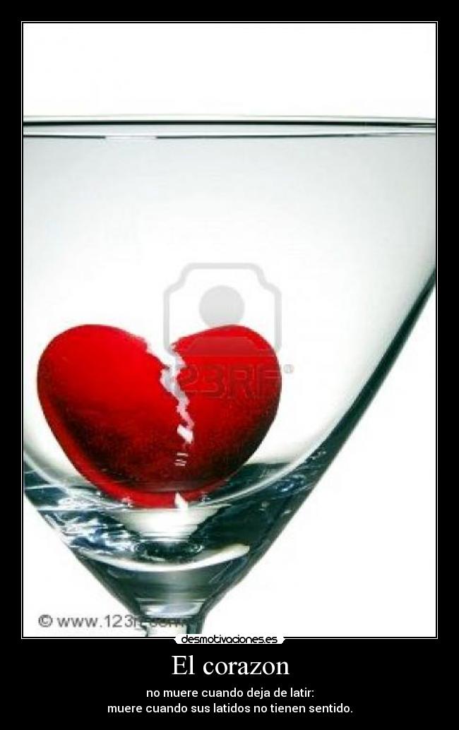 El corazon -