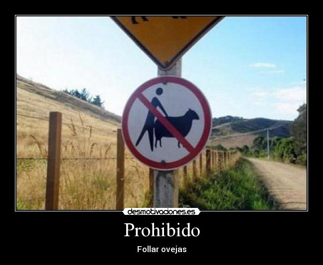 carteles  desmotivaciones