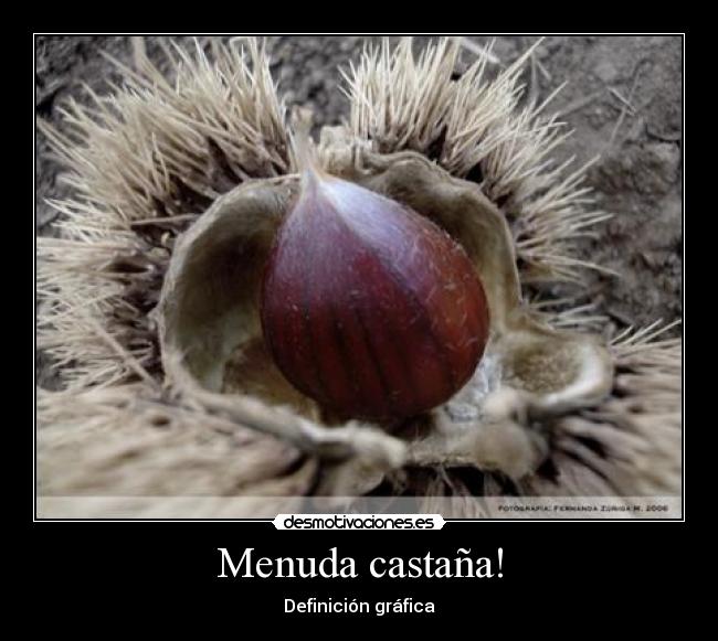 Menuda castaña! - Definición gráfica