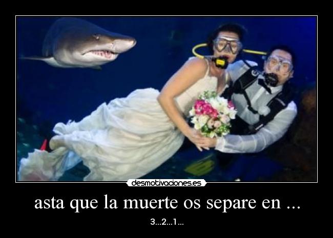 carteles muerte wwwdesmotivacioneses desmotivaciones