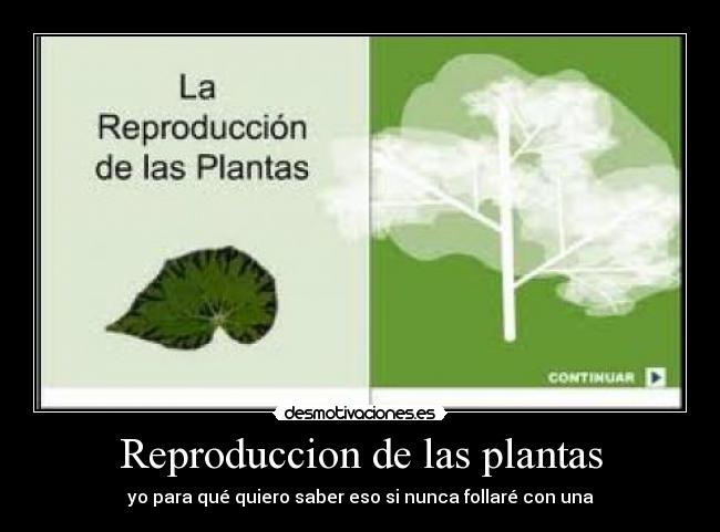 carteles rodridiego desmotivaciones