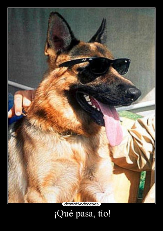 ¡Qué pasa, tío! - 