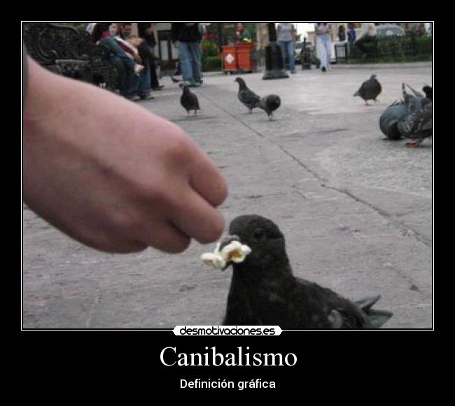 Canibalismo - 