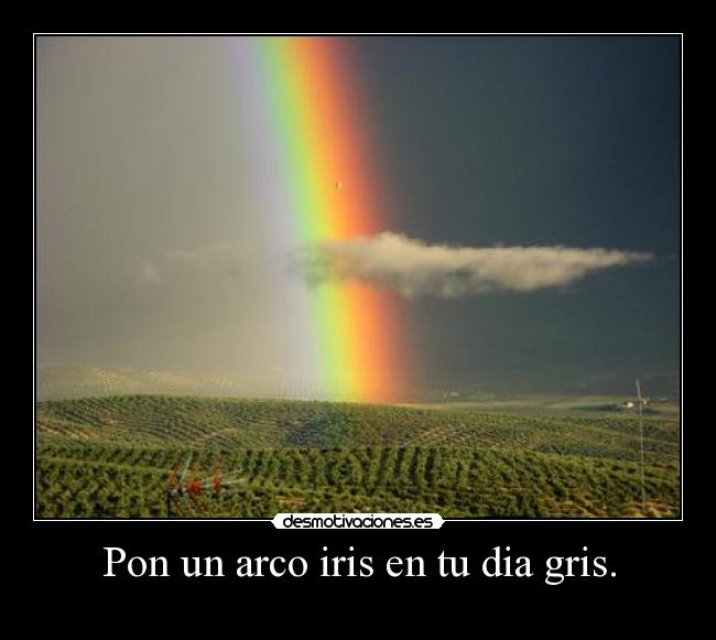 Pon un arco iris en tu dia gris. - 