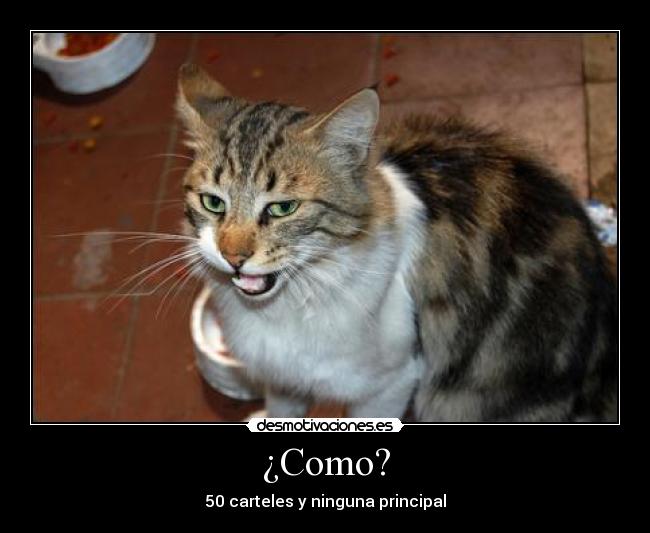 ¿Como? - 