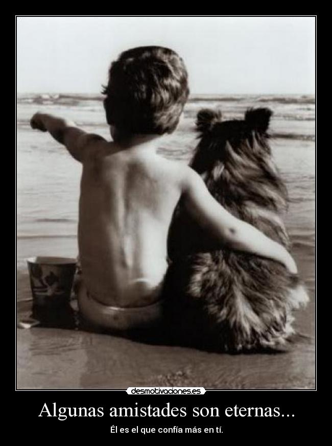 Algunas amistades son eternas... - Él es el que confía más en tí.