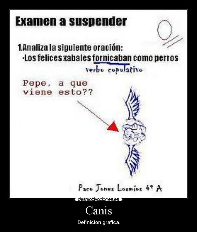 Canis - Definicion grafica.