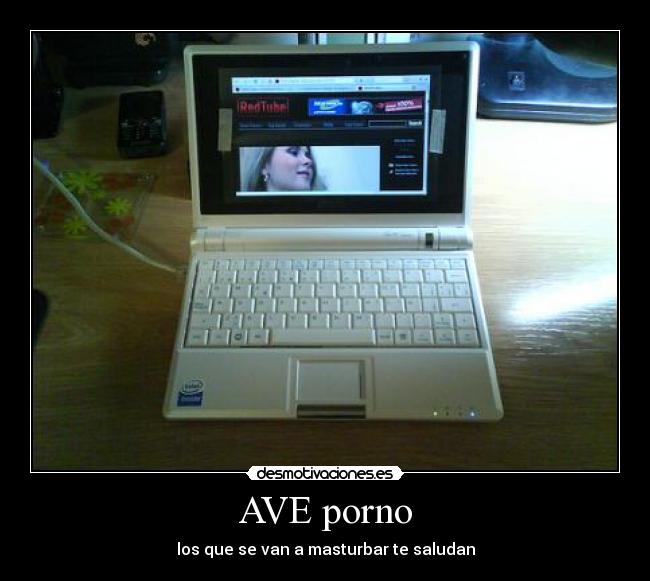 AVE porno - los que se van a masturbar te saludan