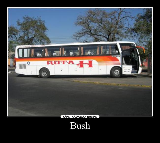 Bush -