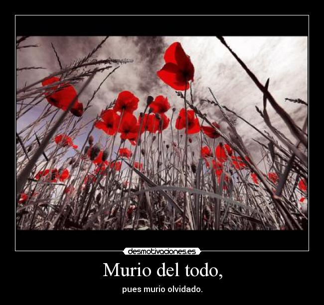 Murio del todo, - 