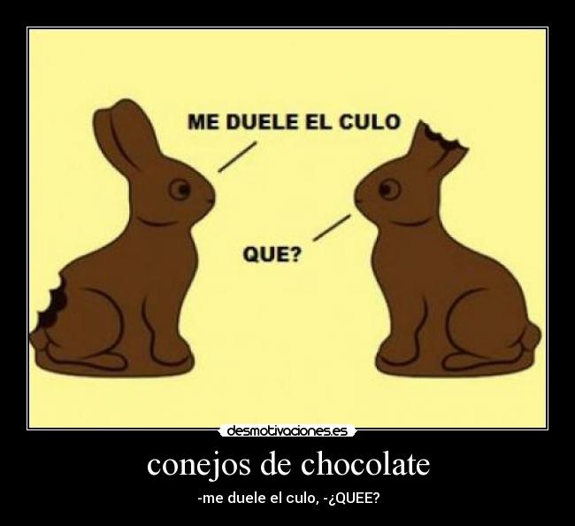 conejos de chocolate - 