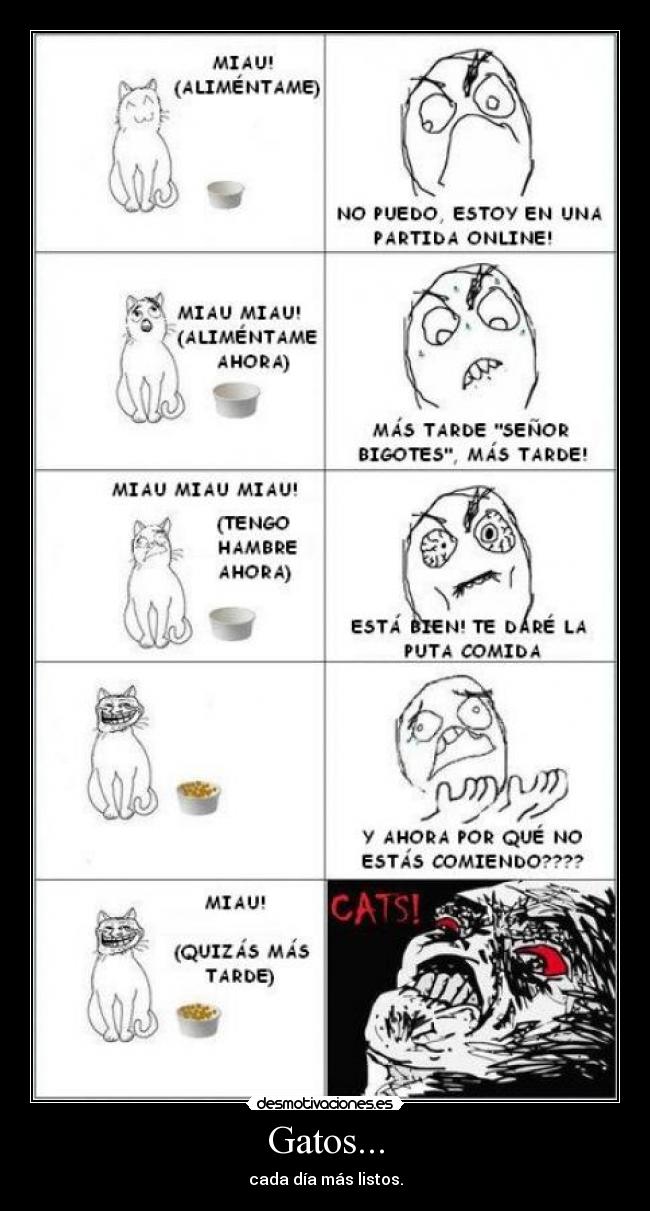 carteles gatos gfegf- desmotivaciones